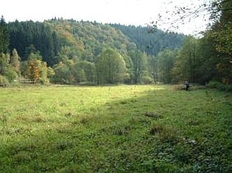 Feuchtgrünland in Meinerzhagen Aggertal, talab, © FNMK 2004