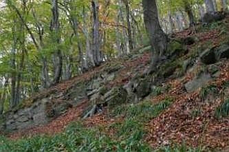 Typische Felsformation mit typischer Vegetation, © FNMK 2004